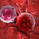 asco-guidelines-for-the-use-of-systemic-therapies-in-advanced-hepatocellular-cancer