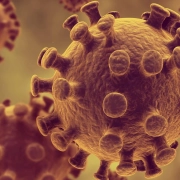Effect-of-HIV-infection-on-growth-and-bone-density-in-peripubertal-children-under-antiretroviral-therapy