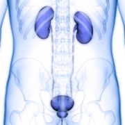Identifying-and-Managing-nmCRPC-Patients-in-the-Era-of-PSMA-PET-Imaging