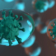 Gut Microbiome: Predictor for COVID-19 Vaccine Response and Safety (CZ02 and BNT162b2)