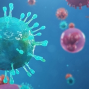 COVID-19 vaccination safety and effectiveness for pregnant and lactating women