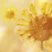 Tolerability of COVID-19 vaccines in patients with cancer