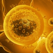Feasibility of Implementing Population-Wide Opt-Out HIV Testing Scheme