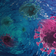 Strategy for COVID-19 vaccination: Disease control, elimination or eradication