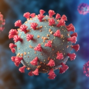 Common Respiratory Viruses and Their Associated Cardiovascular Risks