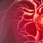 Personalised Angina Treatment at Cellular Level