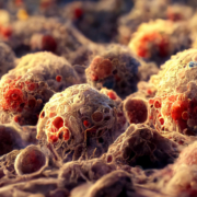Advances in Gastrointestinal Cancer Treatment: Insights from ASCO 2024