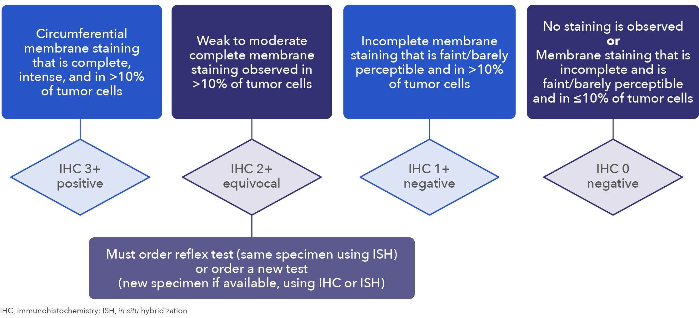 HER2 as a biomarker in cancers – Medical News Asia | Powered by ['mediPr]